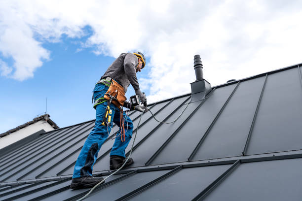 Best Solar Panel Roofing Installation  in USA